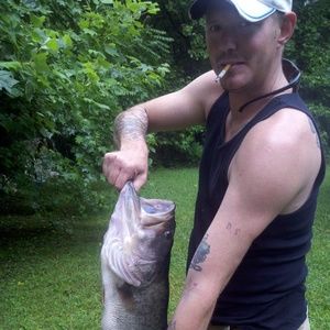 Meet your Posher, Darrell